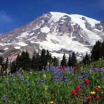 Mount Rainier